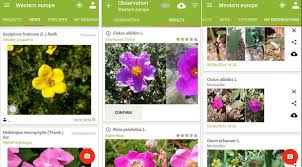 Identification accuracy, user experience, and potential limitation are also evaluated. Top 5 Best Plant Identification Apps 2021
