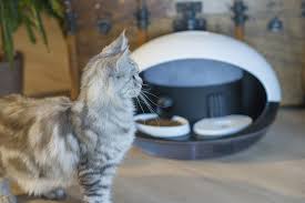 Catspad Auto Wi Fi Water And Food Dispenser Automatic Cat Feeder Pets Cats