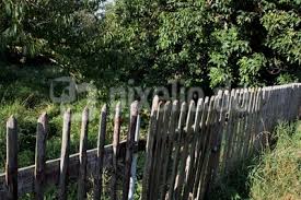 Find the perfect alter botanischer garten stock photo. Kostenloses Foto Alter Garten Pixelio De
