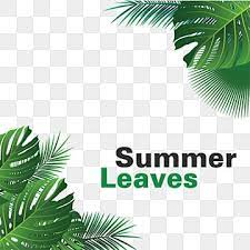 Marco De Hojas Tropicales Palma Hojas De Verano Vector Tropical Png Y Vector Para Descargar Gratis Pngtree In 2021 Tropical Leaves Tropical Background Watercolor Autumn Leaves