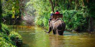 Check spelling or type a new query. Vacuna Contra Encefalitis Japonesa Passport Health