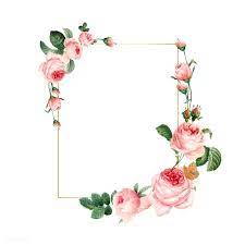 Download Premium Vector Of Blank Rectangle Pink Roses Frame On White Rose Frame Pink And White Background Pink Background Images