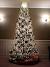 Christmas Green Tree Decorations