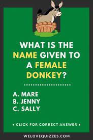 Even if you don't know all the terms, you may be able to deduce unfamiliar words if you can place just some of them. 19 Farm Animals Ideas In 2021 Farm Animals Animals Farm