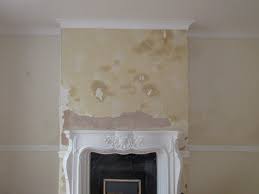 Image result for salt damp