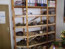 Schwedisch Kaninchenstall Selber Bauen Meerschweinchen Kaninchen