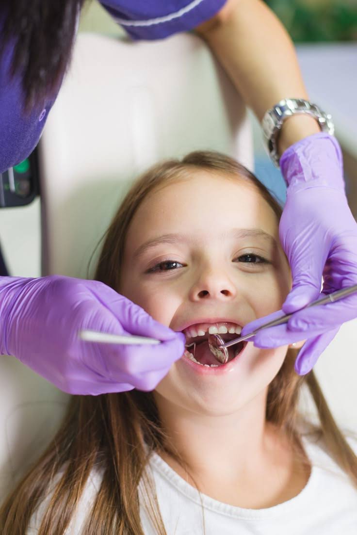 Paediatric Dentistry product image