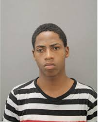 ᐅ Illinois Criminal Records 2009-2025