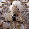 Story image for Mardi Gras from NPR