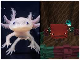 The New Striders Look A Lot Like Axolotl Minecraft