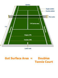 Image result for tennis court hidden in your gut!