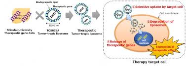 Image result for Targeted Cancer Therapy