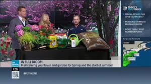 Landscape, in conjunction with wilson bros. Wilson Bros Landscape Videos Facebook