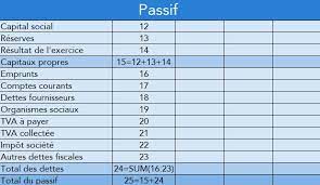 Bilan Previsionnel Definition Calculs Et Exemple Agicap