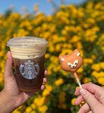 Starbucks birthday cake pop recipe coffee. Starbucks Sells Fox Shaped Cake Pops This Fall