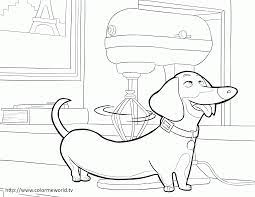Cut out the film strip and slide through the frame. The Secret Life Of Pets Coloring Page Coloring Home