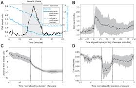 We did not find results for: A Flagellate To Amoeboid Switch In The Closest Living Relatives Of Animals Elife