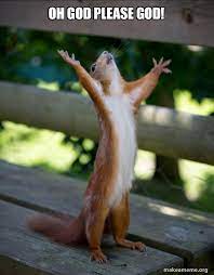 Oh God Please God Happy Squirrel Make A Meme