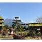 Sengan-en Chrysanthemum Festival event image