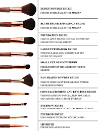 diffe types of makeup brushes and their