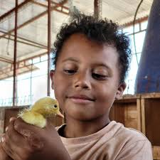 Why do ducks have feathers? To cover their butt quacks 🦆🦆🦆 I've had to  listen to Skyler telling his brother this joke continuously and River  cracking up every time 🤣🤣. These boys!