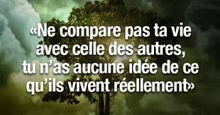 Ne Compare Pas Ta Vie Avec Celle Des Autres Tu N As Aucune Idee De Ce Qu Ils Vivent Reellement French Quotes Some Words Quotes