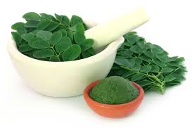 Anda bisa mengolah daun kelor dengan cara memasak, mengekstrak, atau mengonsumsinya langsung. Tiga Cara Mengolah Daun Kelor Untuk Darah Tinggi Novayanti