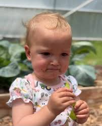 Some comments from the obsessed and delusional cult. I swear if these  parent beat those kids, or killed one of the prop pets