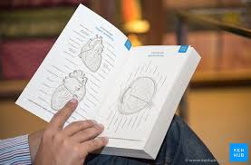 Anatomy coloring book features detailed illustrations of the bodys anatomical systems in a spacious page design with no back to back images. Anatomy Coloring Books How To Use Free Pdf Kenhub