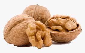 Which is the best walnut tree in the uk? Walnut Free Png Picture Walnut Dry Fruit Png Transparent Png Transparent Png Image Pngitem