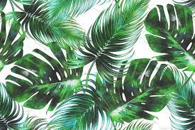 Check spelling or type a new query. Green Leaf Aesthetic Wallpapers Wallpaper Cave