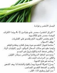 فوائد البصل الاخضر vegetables food nutrition