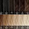 In the market, there are different hair dye products that you can use for your tresses. 1
