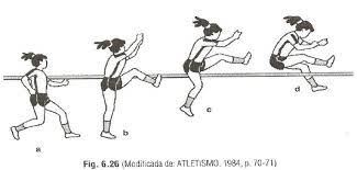 Sep 13, 2006 · esse salto é efetuado em uma área dividida em três segmentos: Saltos Verticais Para A Iniciacao Ao Atletismo Teoria E Pratica Do Atletismo