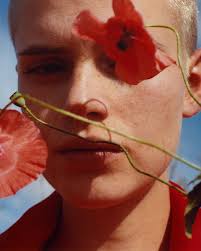 Photographer Spotlight: Tom Johnson