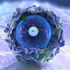 While some coronaviruses affect only animals, a few others can also affect humans. Hsv I Ii By Pcr Test Cost 5 000 00 Inr Book Online