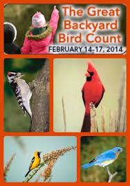 It stores more than 100 million bird sightings contributed each year and is used by professionals for science and. Great Backyard Bird Count Tips And Resources Great Backyard Bird Count Backyard Birds Homeschool Nature Study