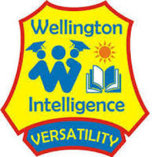 Wellington Intelligence School
