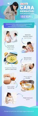 Beberapa obat mual untuk ibu hamil yang sering diberikan yaitu: Infografis Cara Mengatasi Mual Yang Parah Pada Ibu Hamil Bukareview