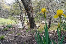 Exploring the blue hole georgetown, tx. Ennis Texas Trails Trail Maps Traillink