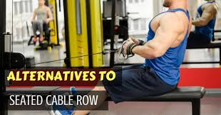 There are alternatives to this exercise that target the same muscles and are equally as effective! 5 Best Seated Cable Row Alternative Exercises You Must Try