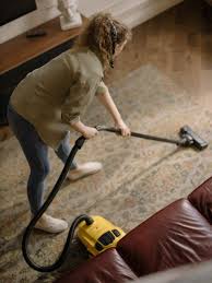 How to choose the best carpet cleaner for pet stains. Best Carpet Cleaners For Old Pet Urine Hairs Pet Stains