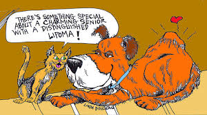 Lipomas And Other Canine Lumps And Bumps Dogs Naturally Magazine Dog Skin Tumors On Dogs