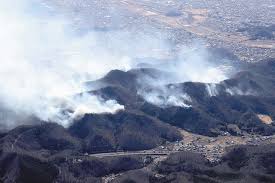 The site owner hides the web page description. 4flqkff48sev6m