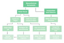 Wir haben für dich tabellen mit ballaststoffreichen lebensmitteln erstellt. Ballaststoffe Ballaststoffreiche Ernahrung Fur Einen Glucklichen Darm