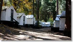 Maybe you would like to learn more about one of these? Curry Village
