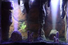 With the addition of rock cave, the tank looks beautiful. Cave Tank Build Tutorial Reef2reef Saltwater And Reef Aquarium Forum