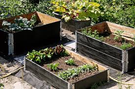 How to make a better strawberry pallet planter how to build raised beds using pallets | a thousand words diy planter box from pallets raised bed garden from pallets canyon ranch how to build your own pallet garden learn the benefits of gardening in raised beds wooden pallet. Build A Handy Raised Bed Using Pallets Sunday Gardener
