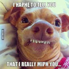 Pin On Funnies