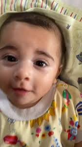 @PalPress24's video Tweet